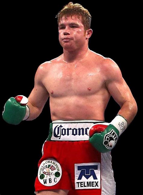 cabelo alvarez|canelo álvarez wikipedia.